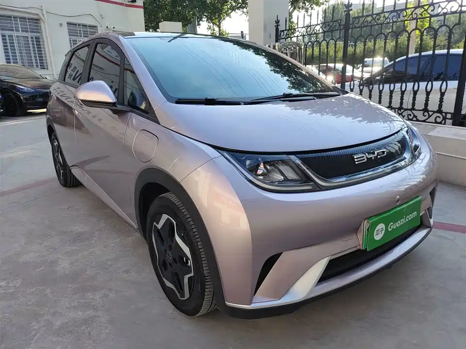 BYD dolphin