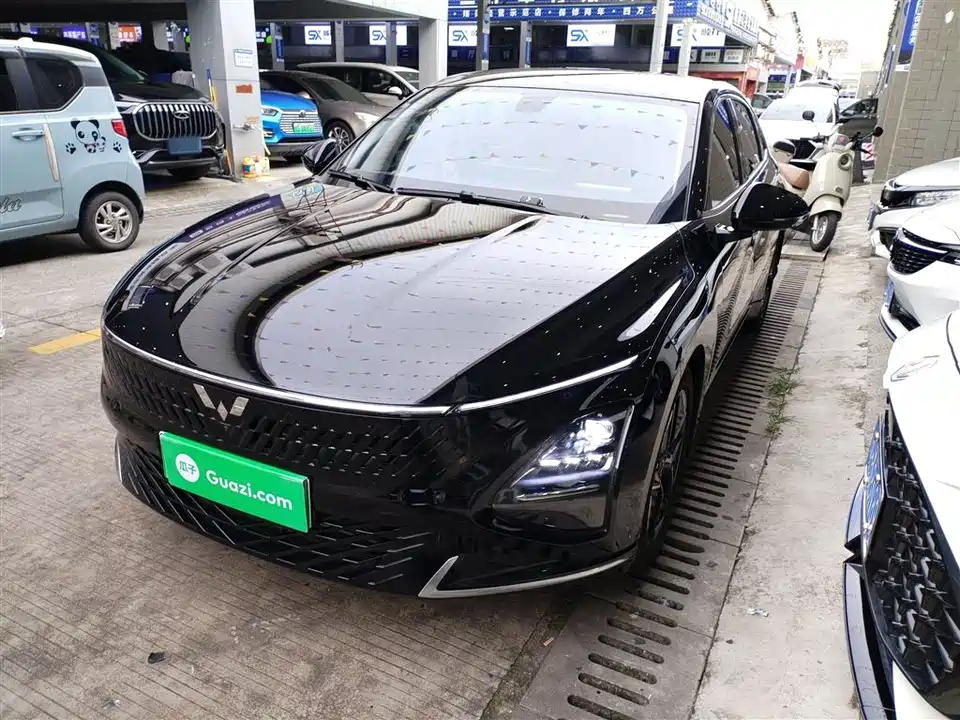 Wuling Wuling Starlight