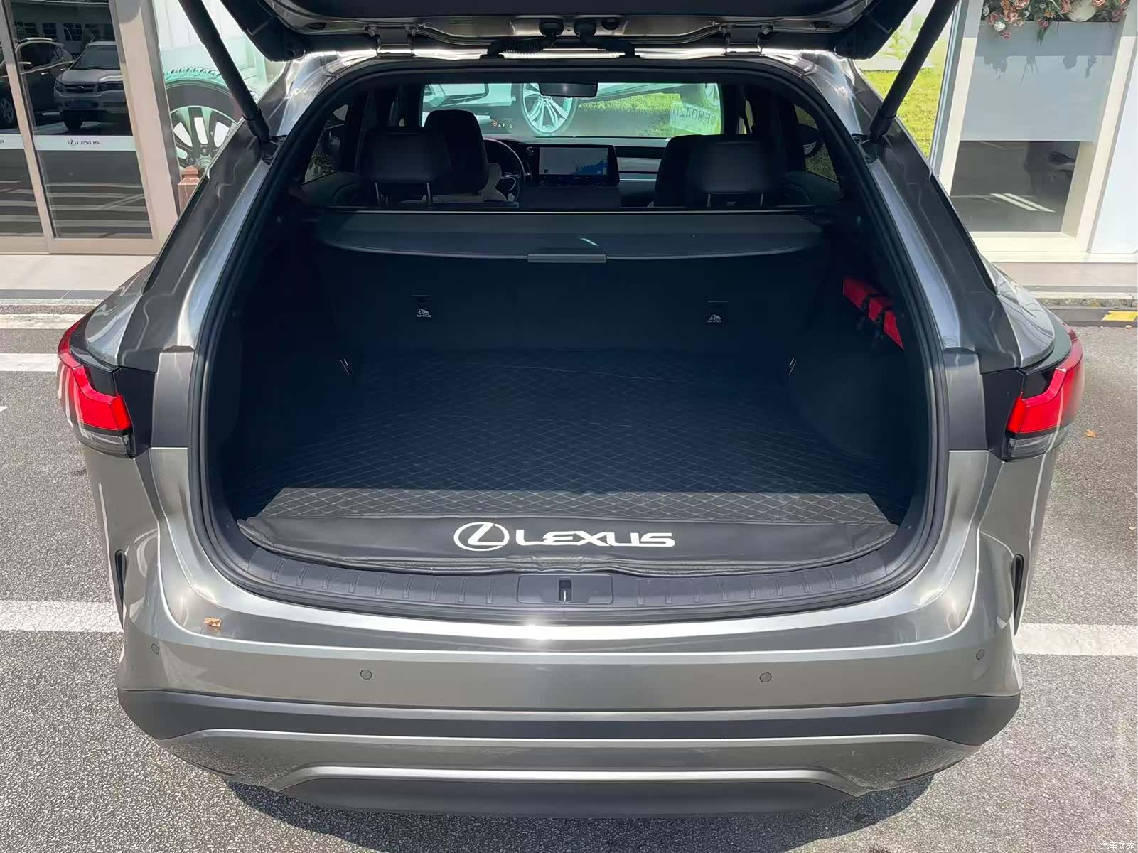 Lexus RX, 2023 9