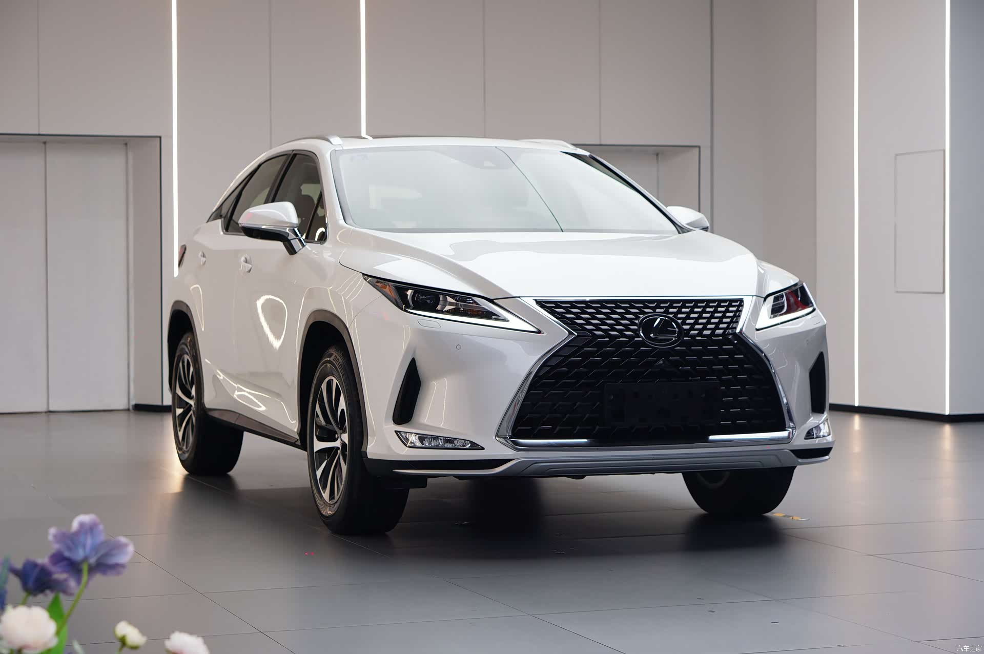 Lexus RX, 2021 3