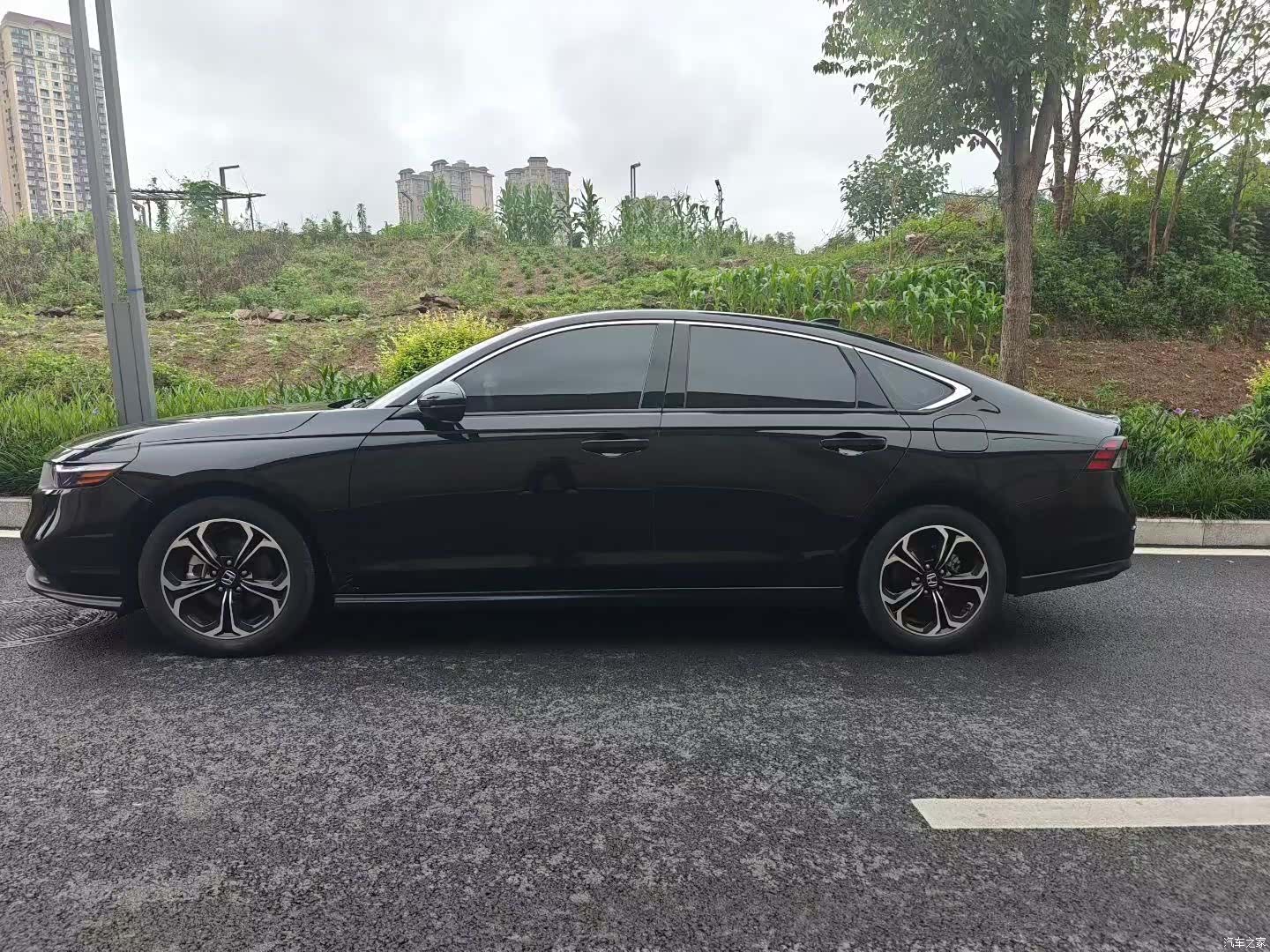 Honda Accord, 2024 6