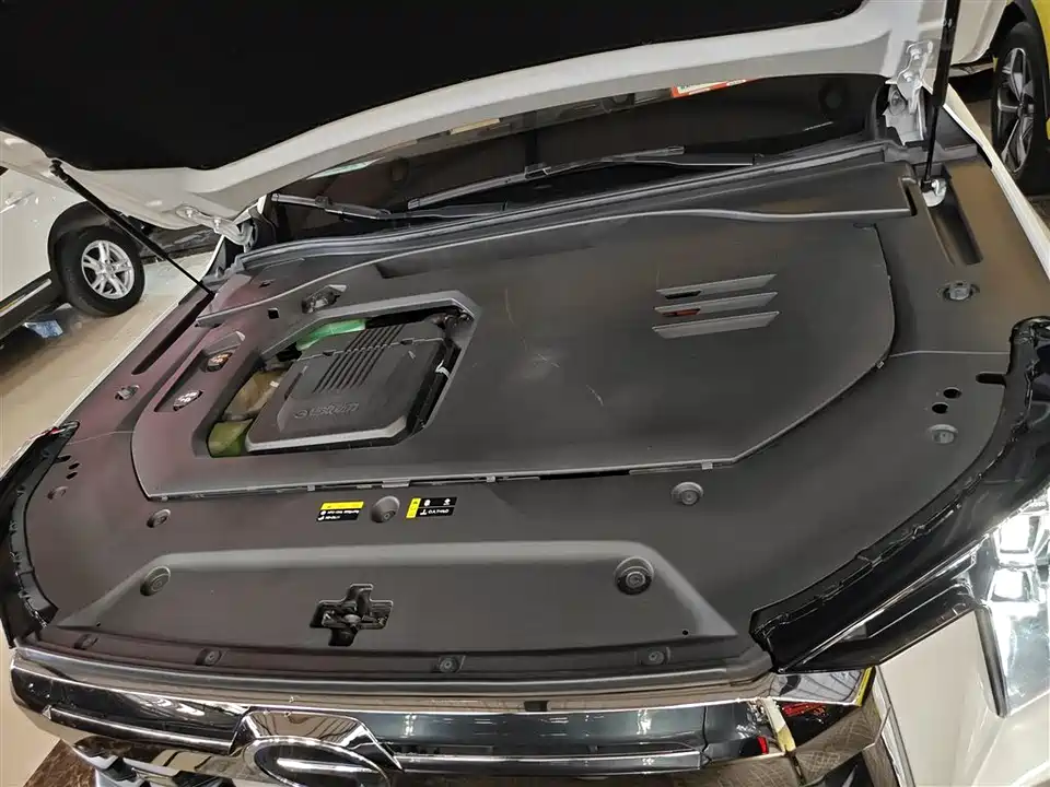 Trumpchi Trumpchi ES9