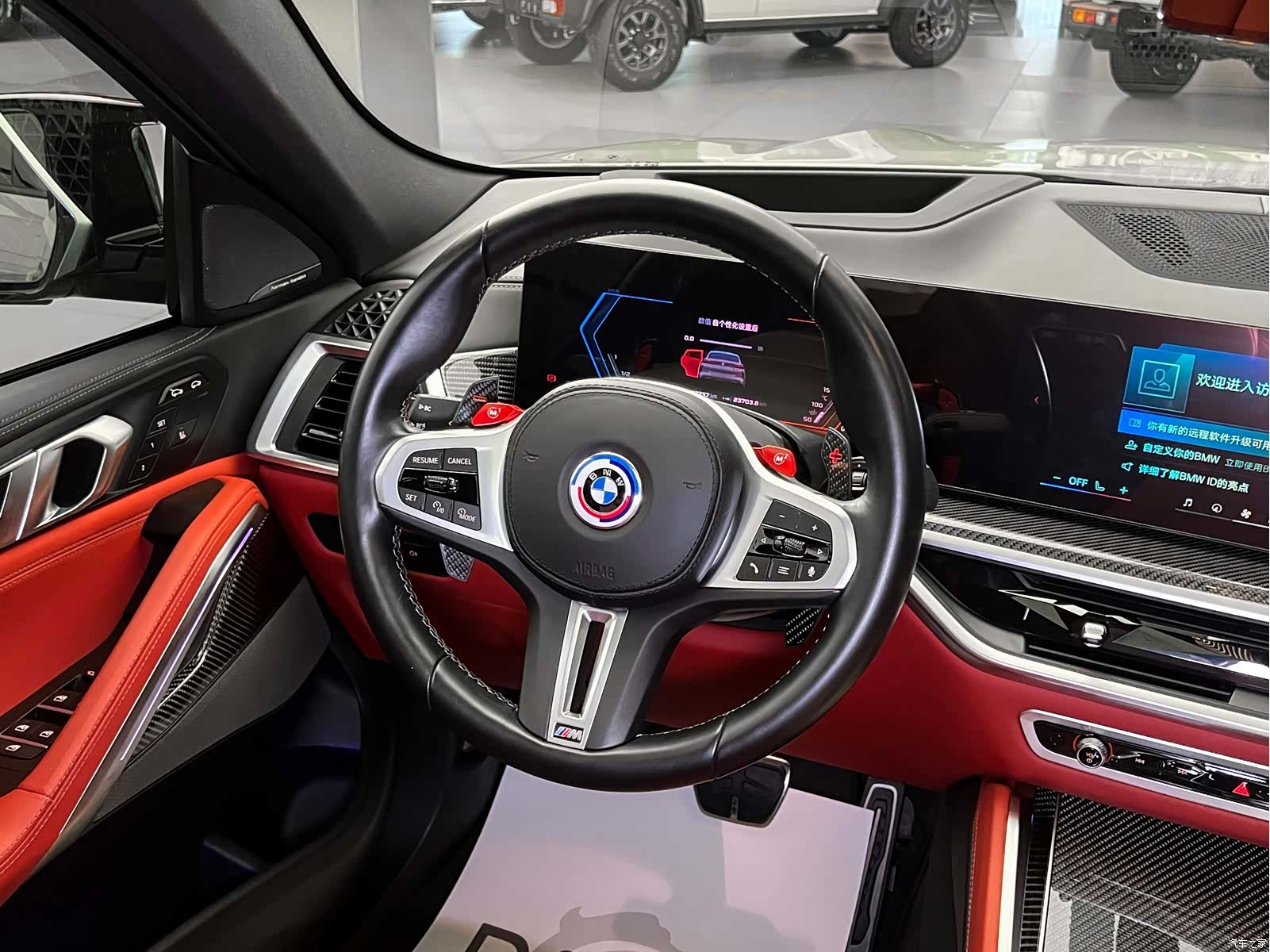 BMW X6, 2024 11