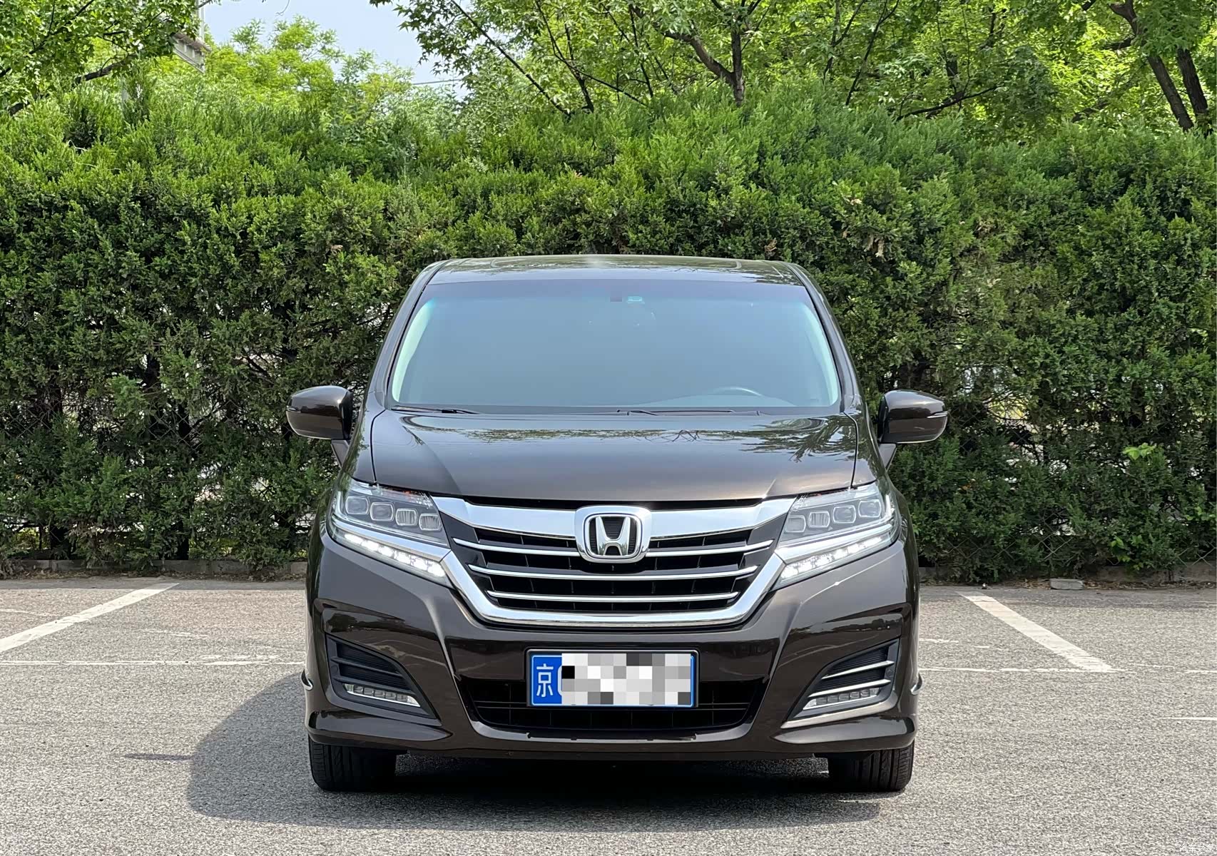 Honda Elysion, 2019 2