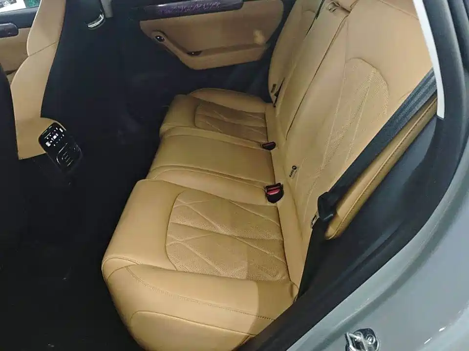 Leapmotor C11 Leapmotor C11