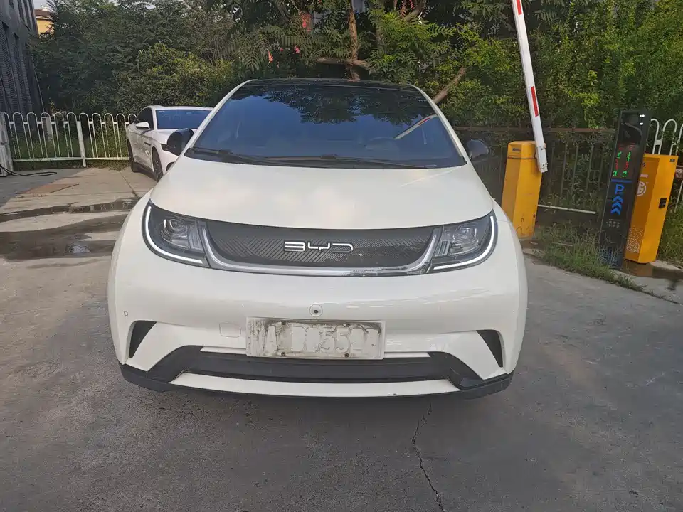 BYD dolphin