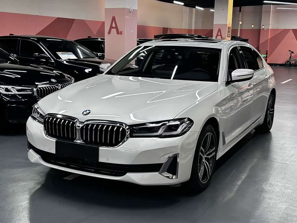 BMW 5 Series 5 2021 530Li Lead Luxury
