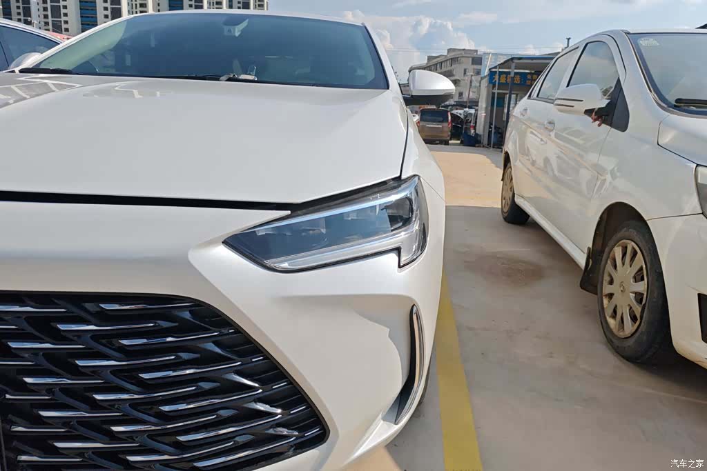Buick Regal, 2024 все фото