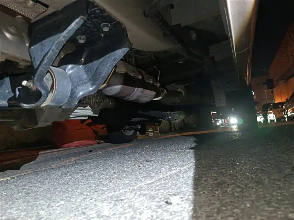 Jinbei Little Sea Lion X30