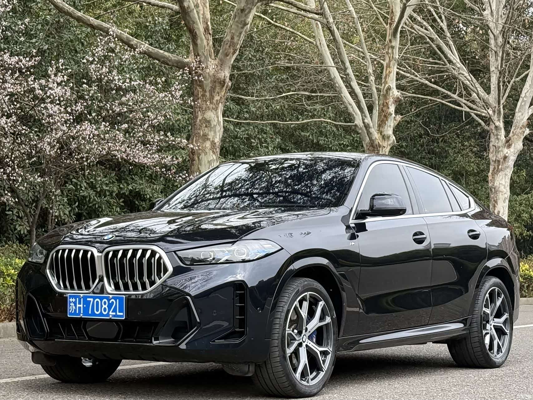 BMW X6, 2025 1