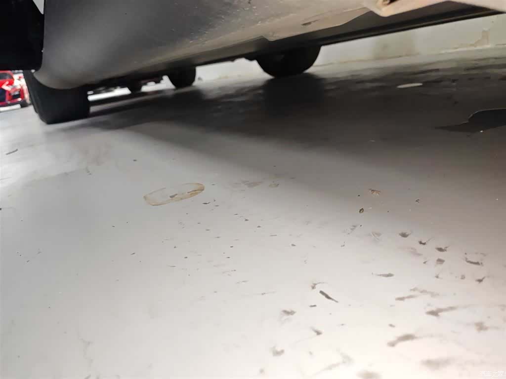 Tesla Model Y, 2023 21