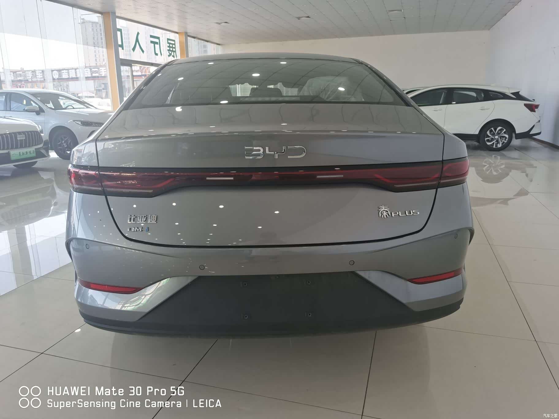 BYD Qin, 2026 все фото