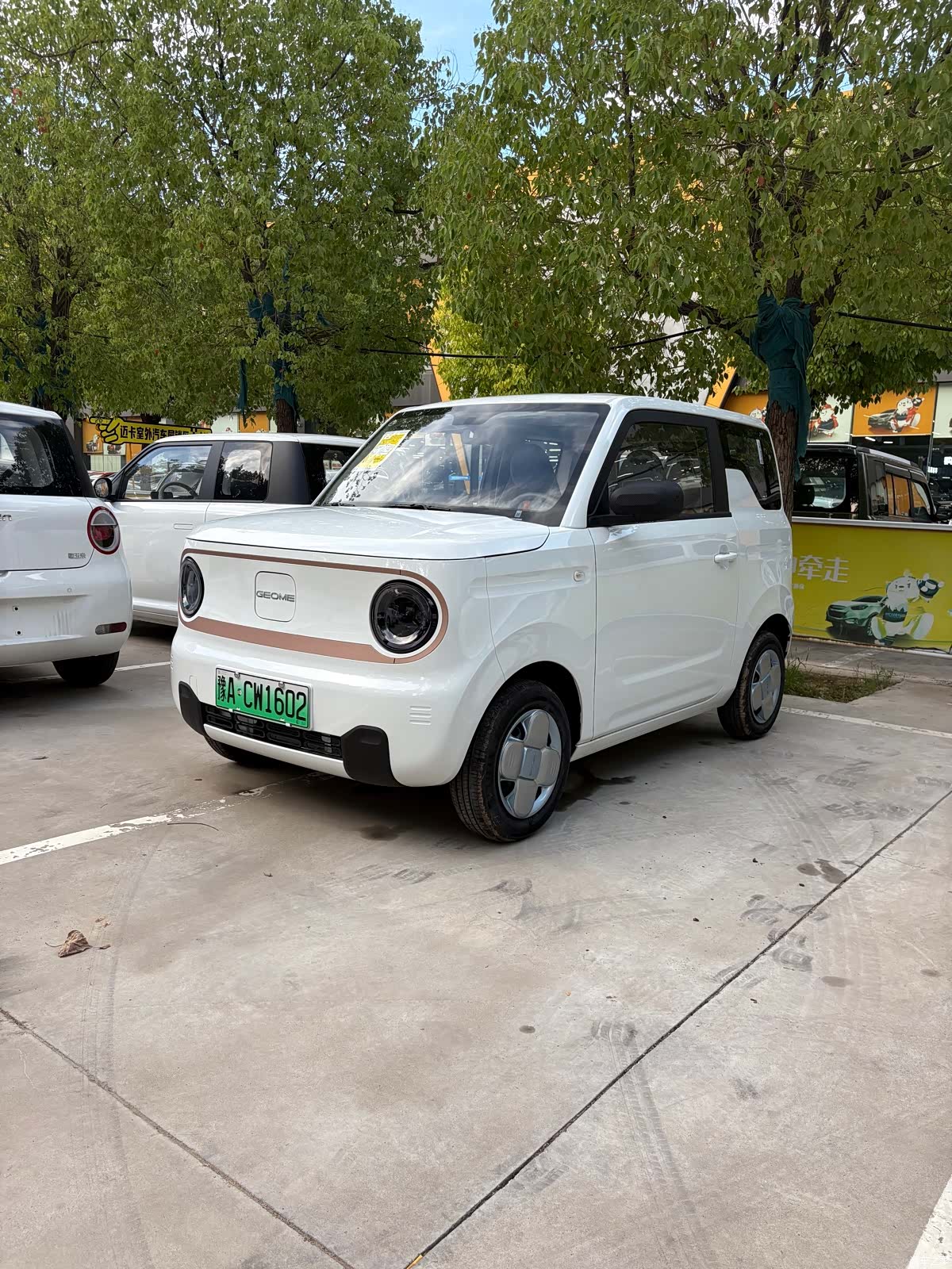 Geely Panda, 2026 1