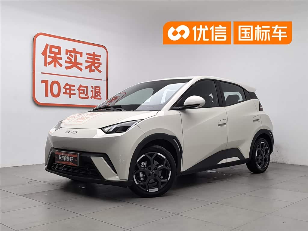 BYD Seagull