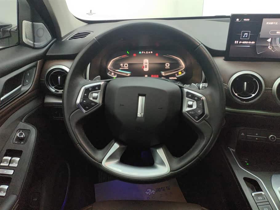 Weipai VV6