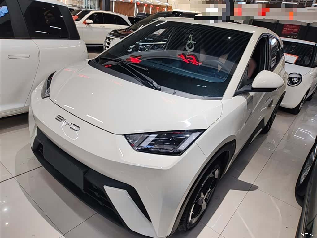 BYD Seagull, 2023 2