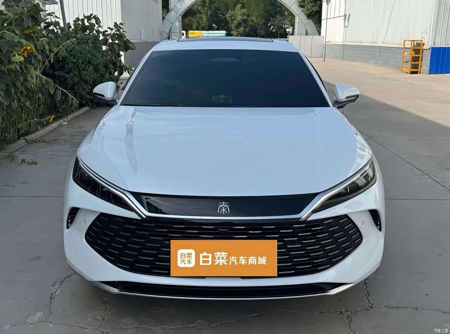 BYD Qin, 2026 2