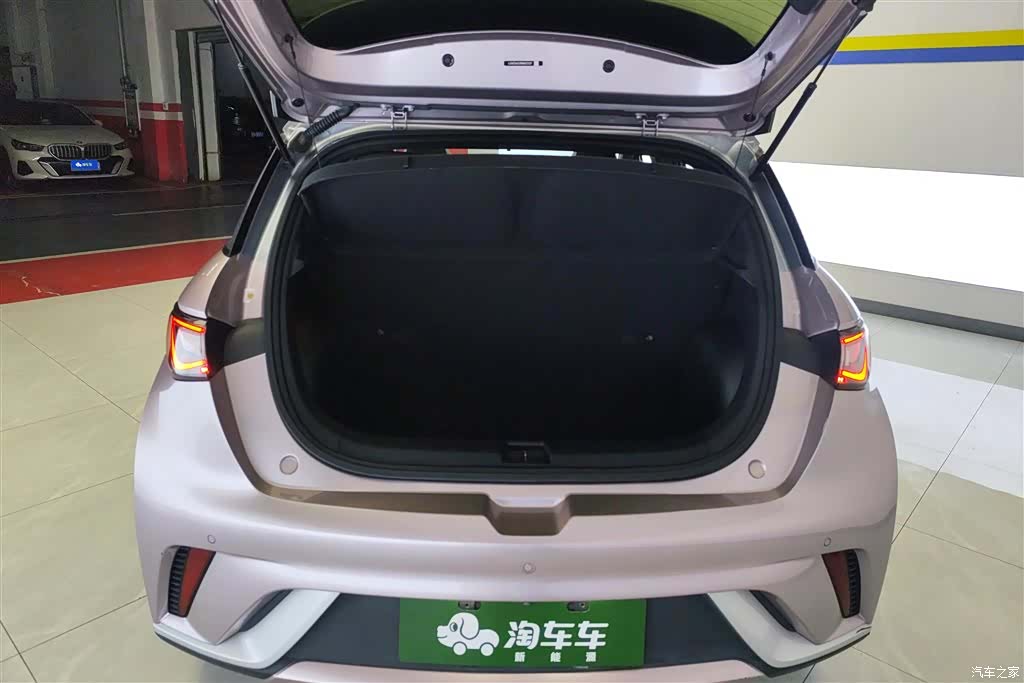 BYD Dolphin, 2022 4