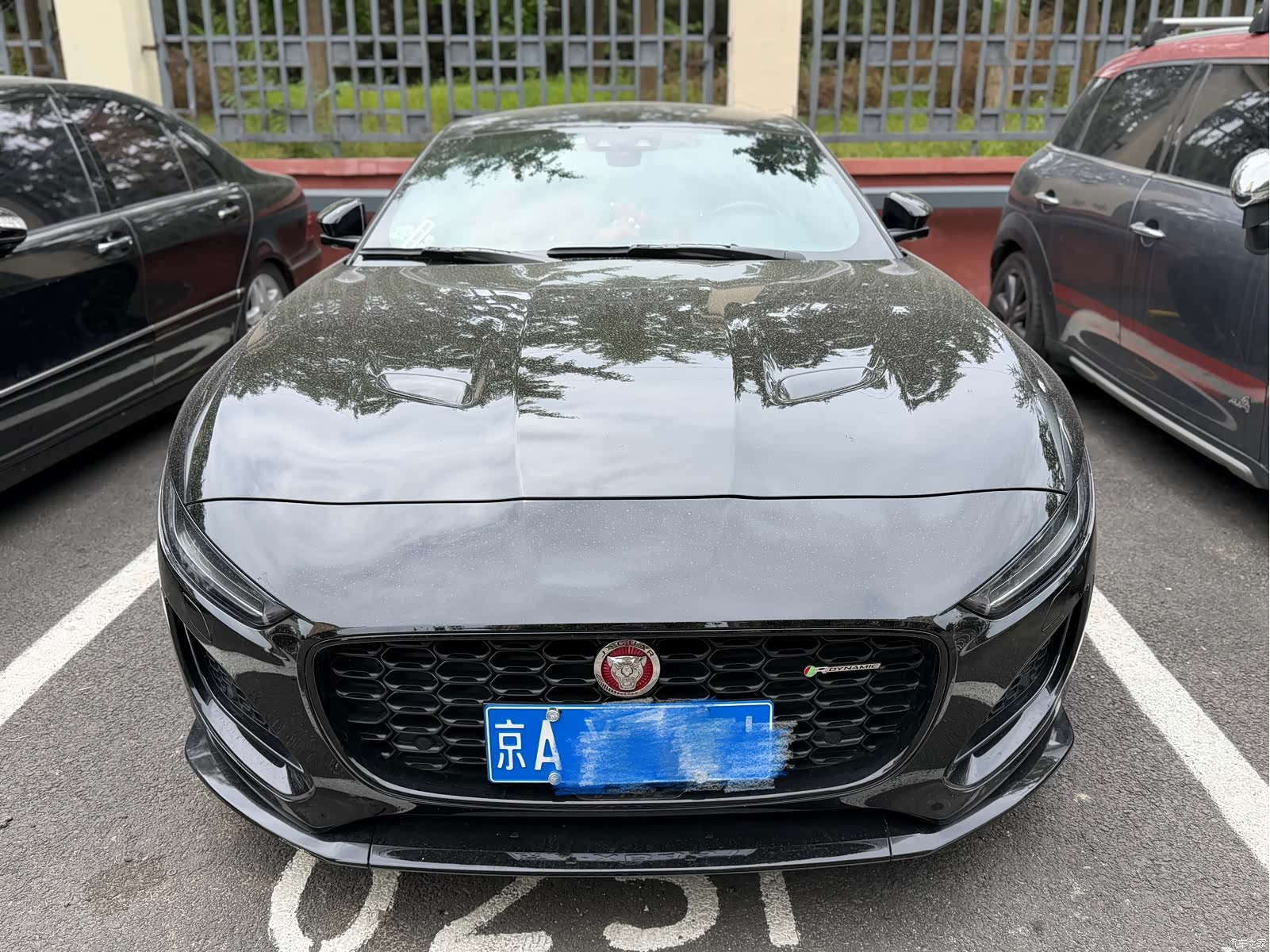 Jaguar F-TYPE, 2023 2