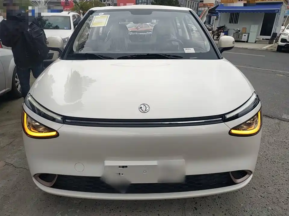 Dongfeng Nammi Nano 01