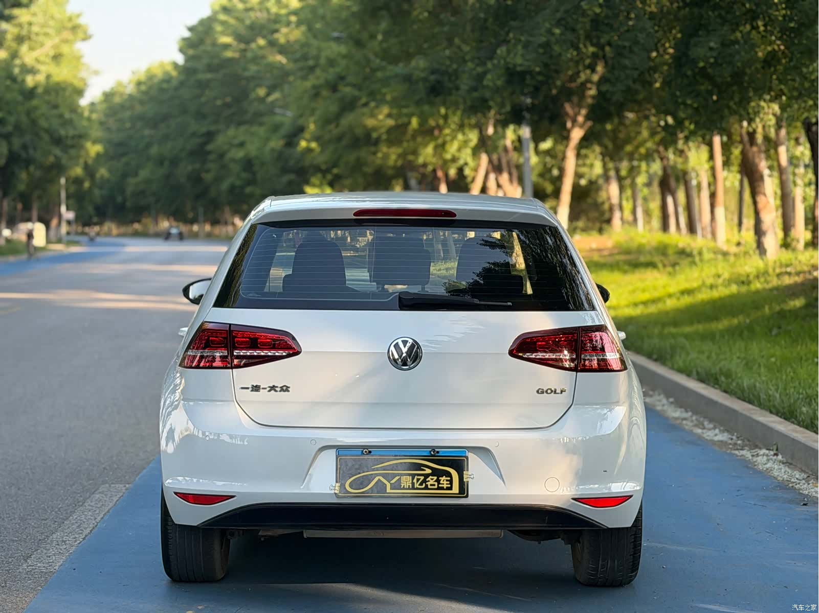 Volkswagen Golf, 2017 все фото