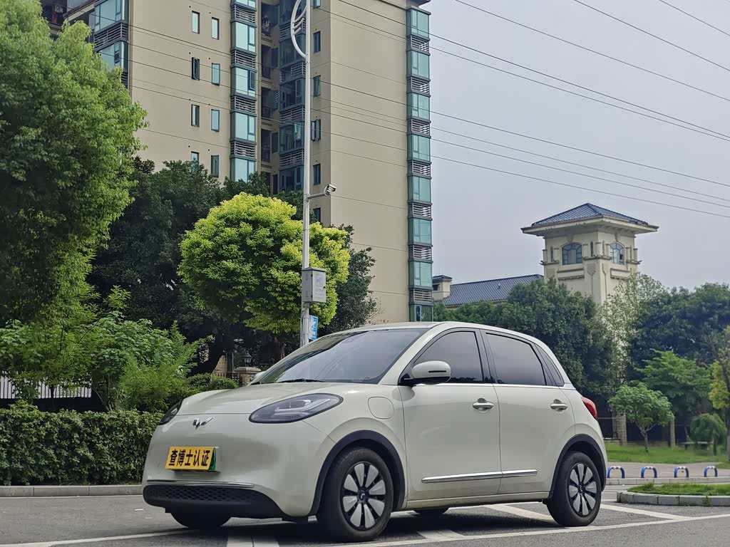 Wuling Binguo