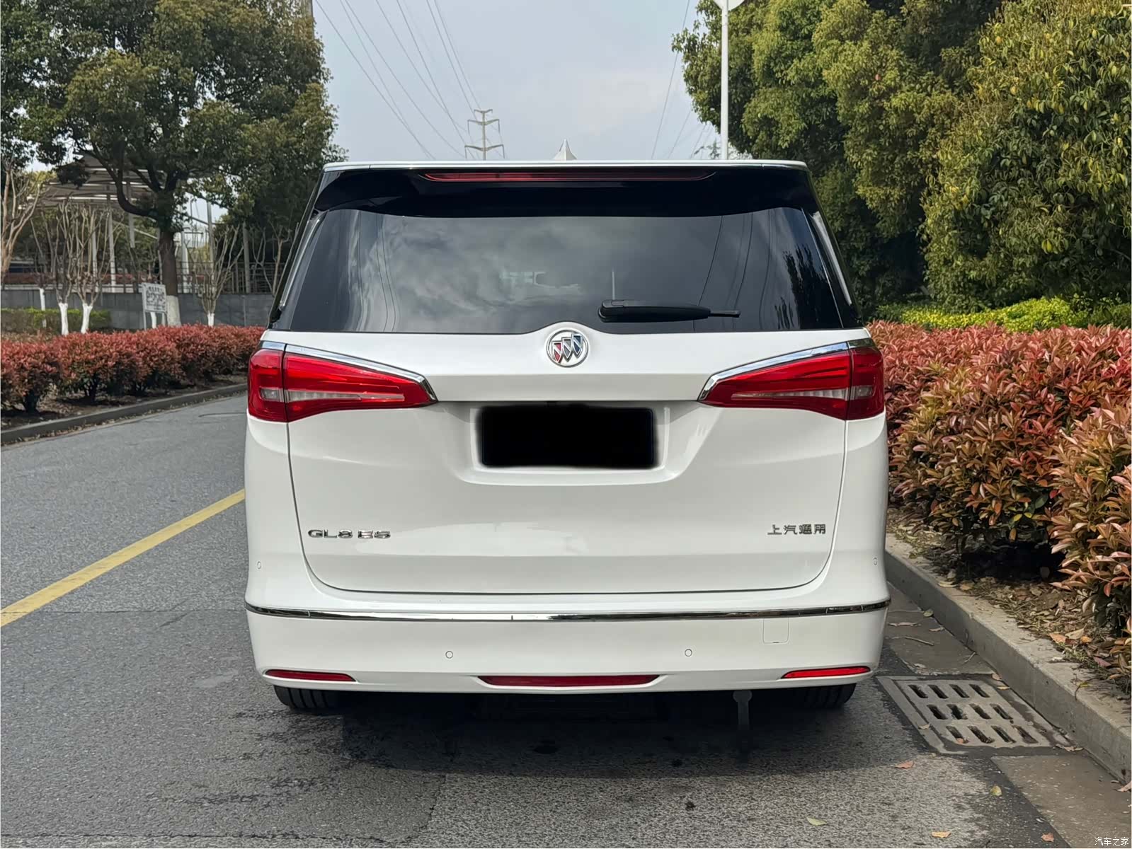 Buick GL8, 2019 все фото