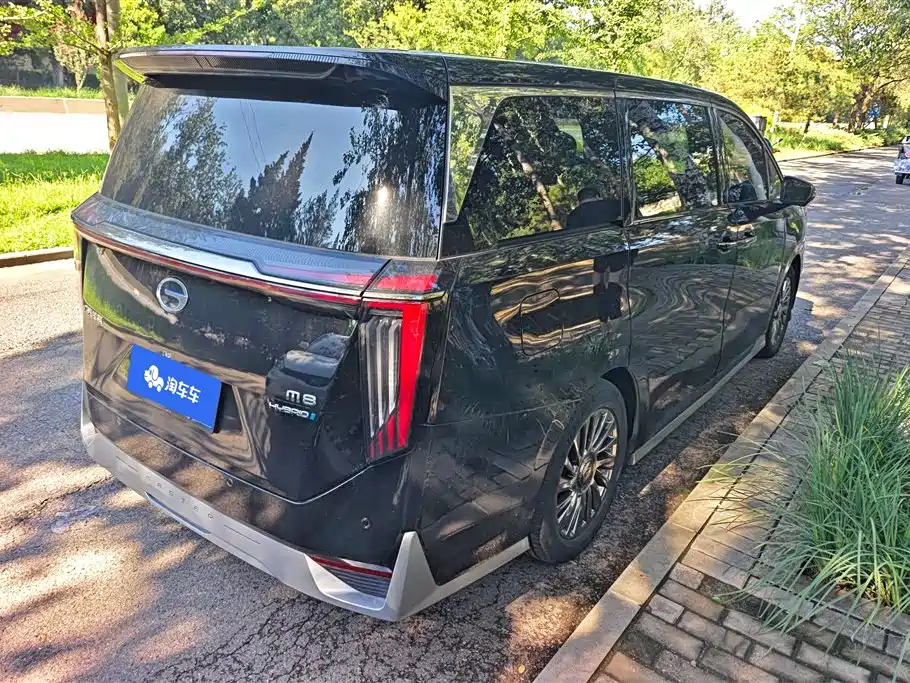 Trumpchi Trumpchi M8