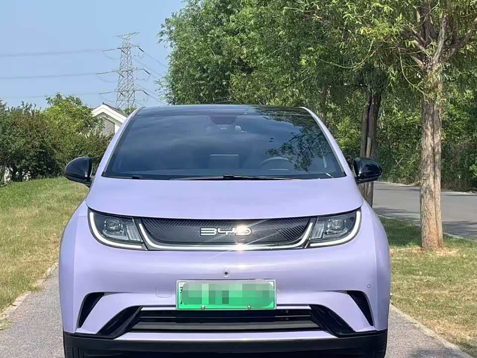 BYD dolphin