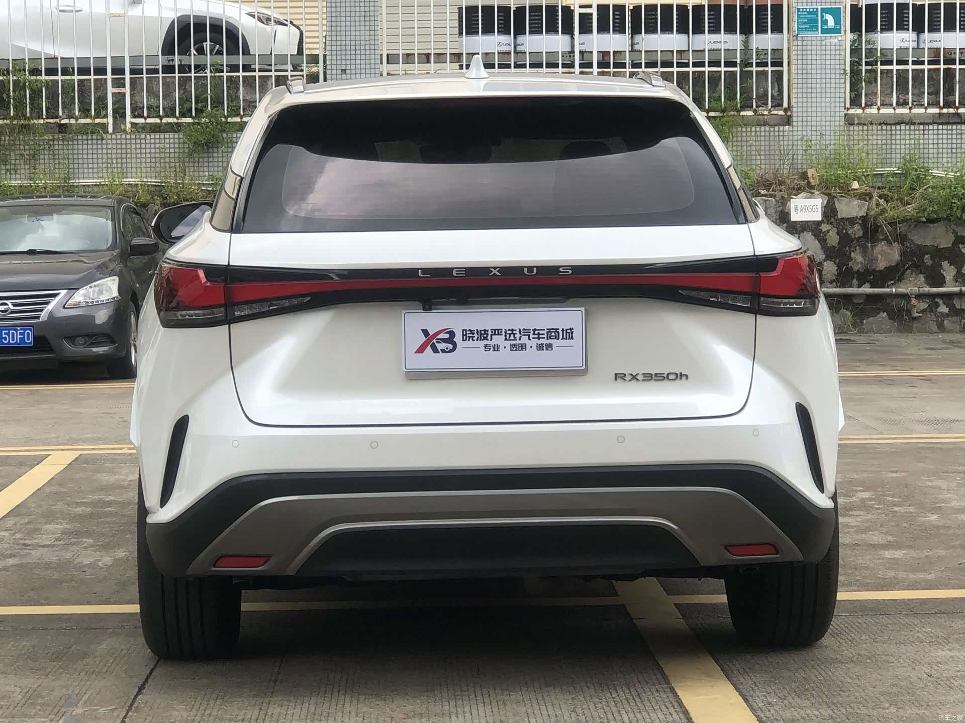 Lexus RX, 2024 все фото