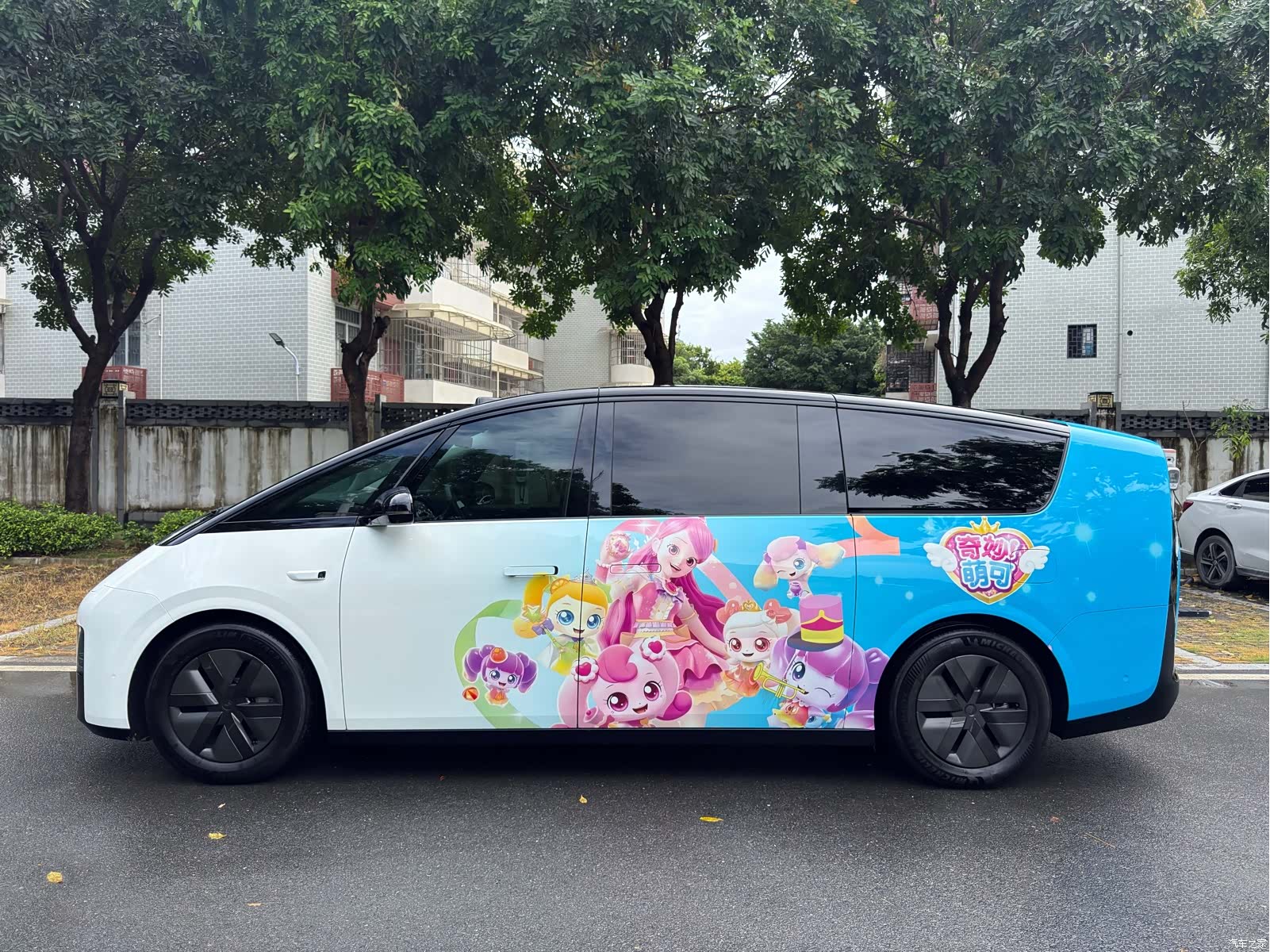 Li Auto MEGA, 2025 все фото