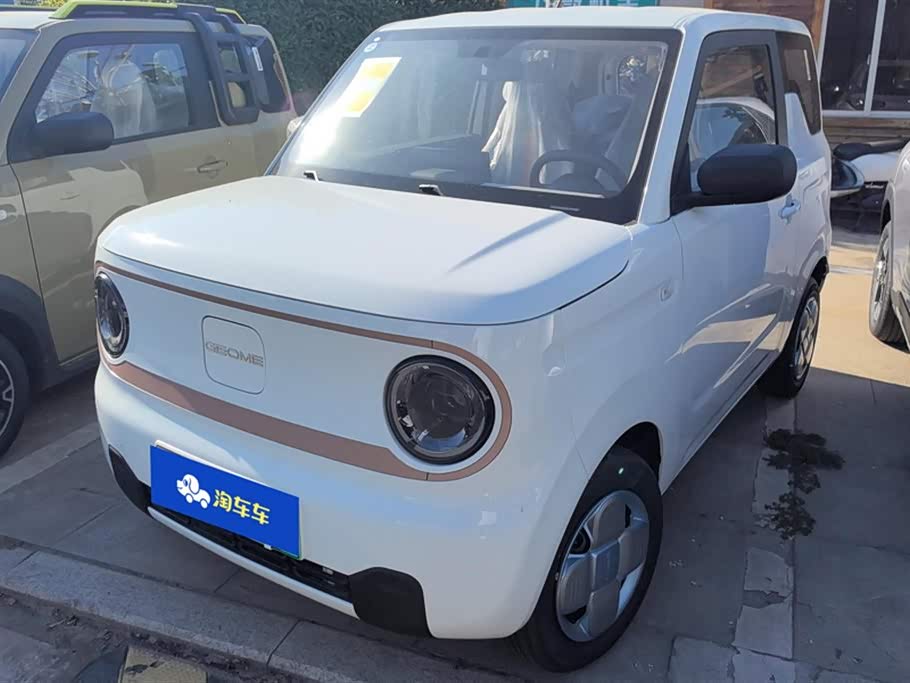 Geely Galaxy panda