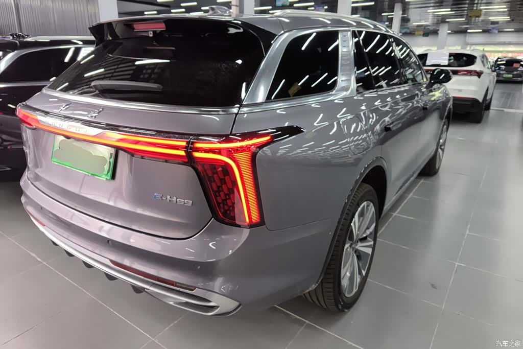 Hongqi E-HS9, 2023 3