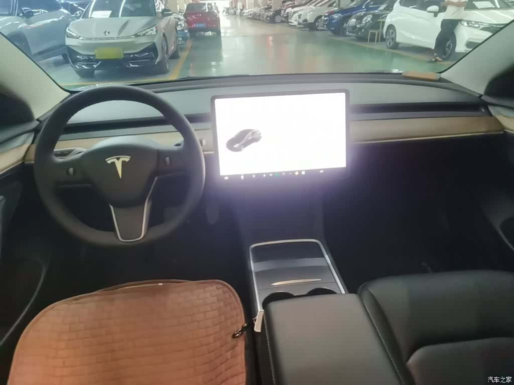Tesla Model 3, 2021 10
