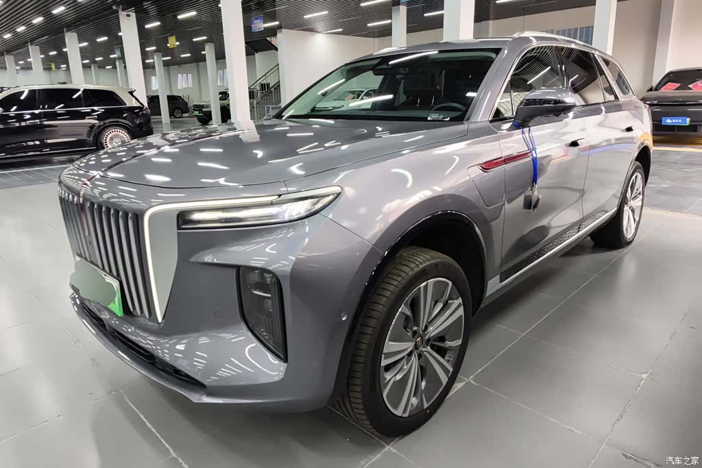Hongqi E-HS9, 2023 1
