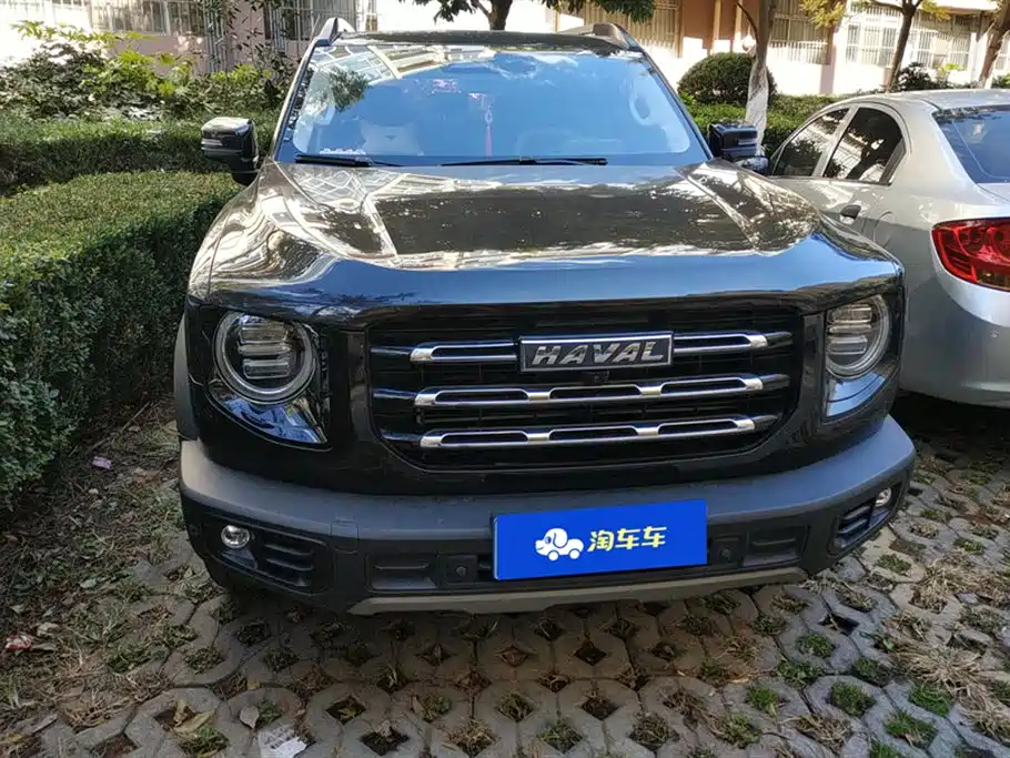 Haval Big dog