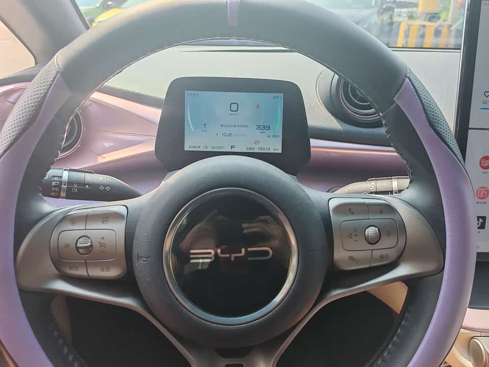 BYD dolphin