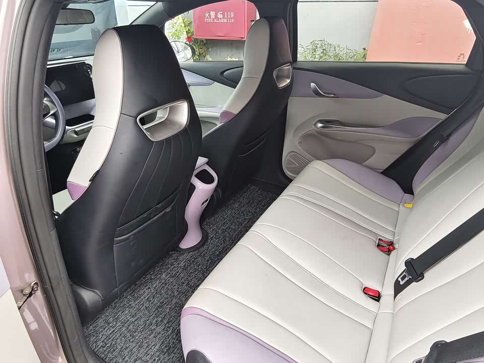 BYD dolphin