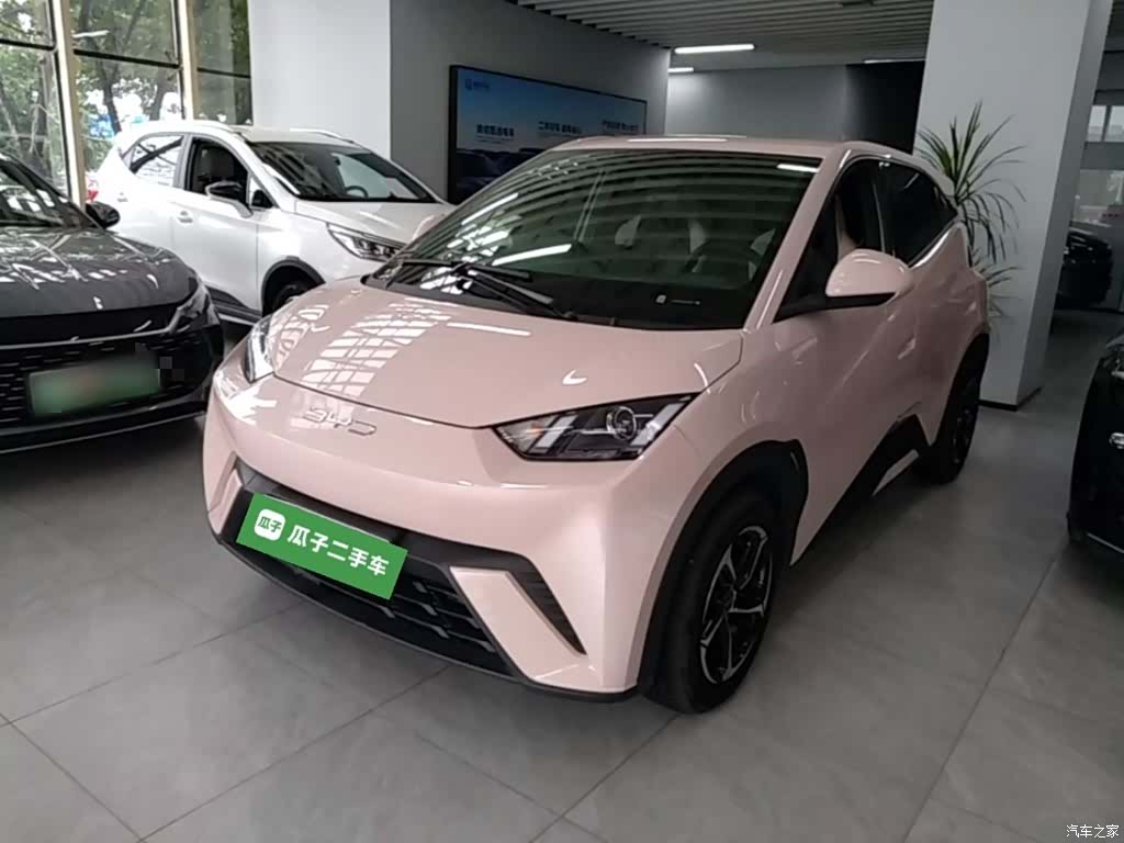 BYD Seagull, 2024 2