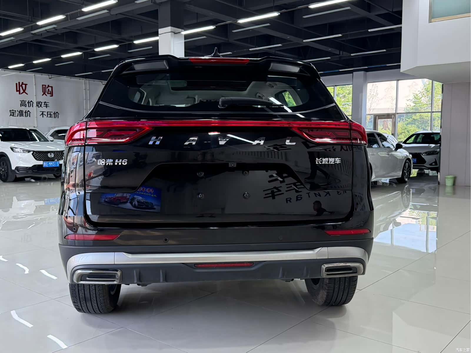 Haval H6, 2022 все фото