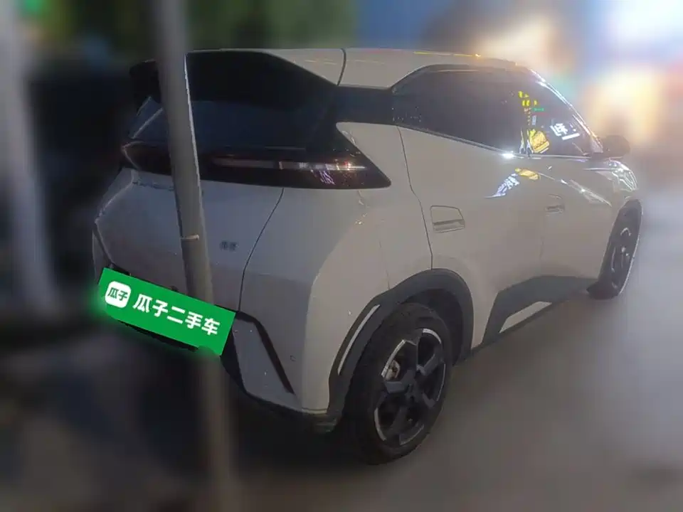 BYD Seagull