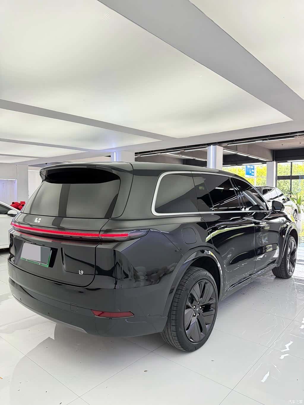 Li Auto L9, 2023 все фото