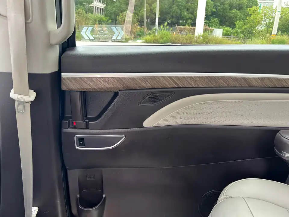 Trumpchi Trumpchi M8