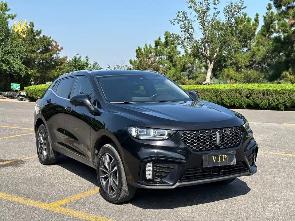 Weipai VV5