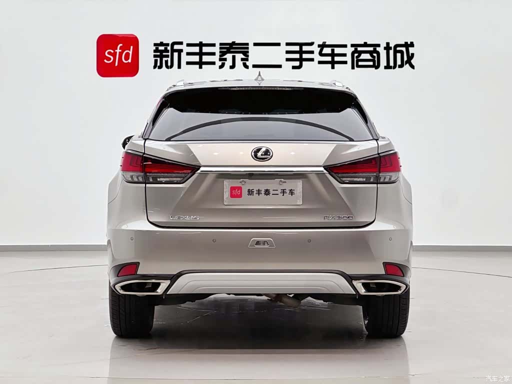 Lexus RX, 2022 7