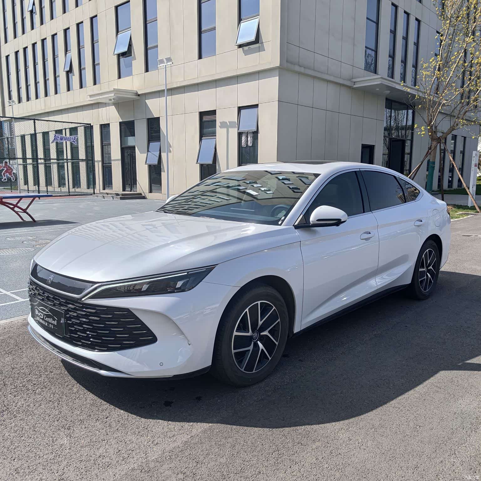 BYD Qin, 2024 1
