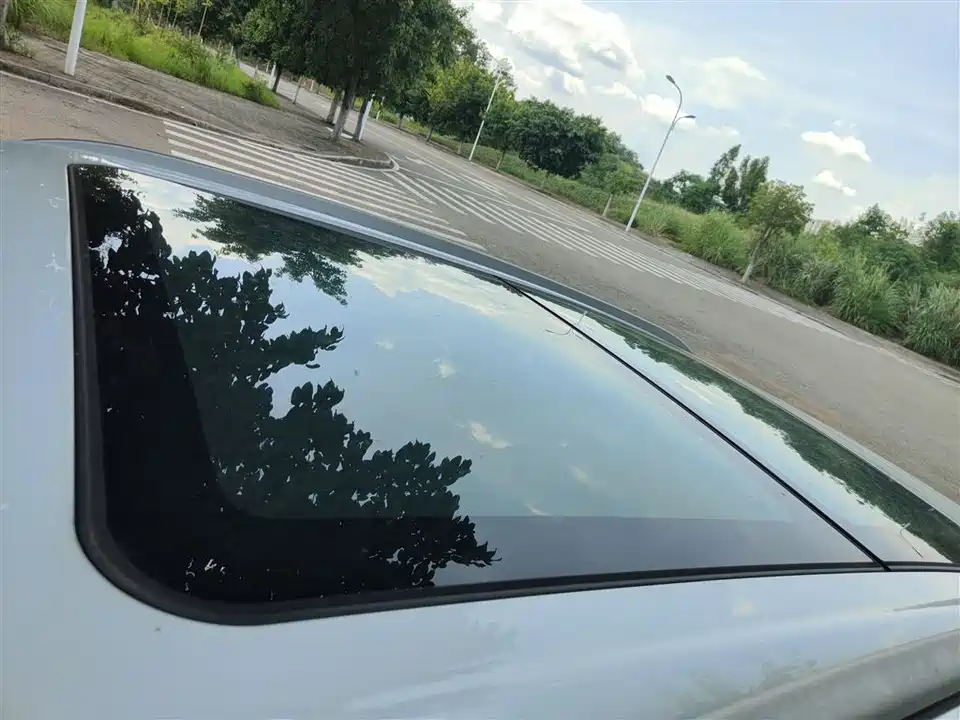 Leopaard Cheetah CS9