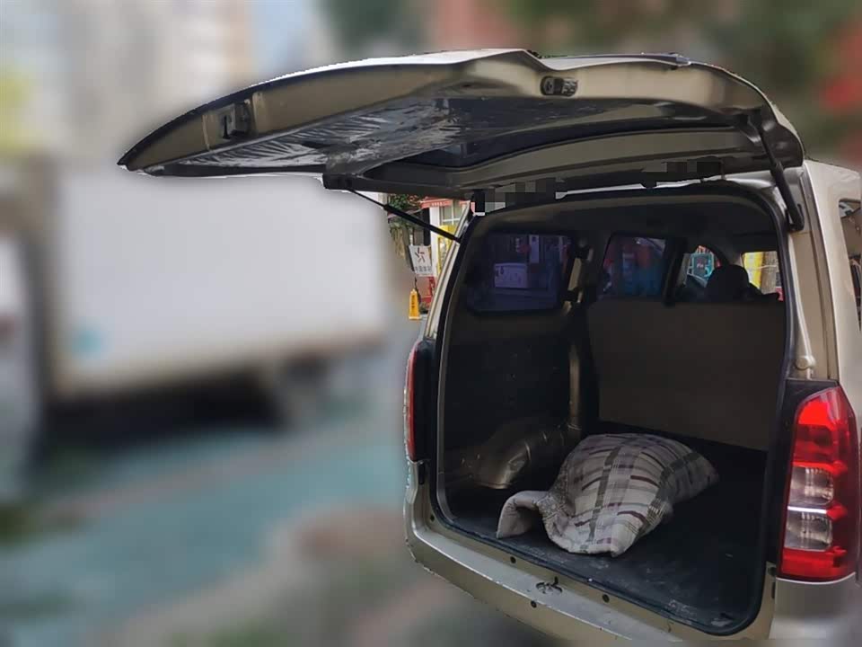 Wuling Wuling Hongguang V