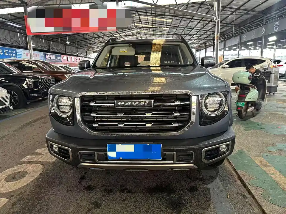 Haval Big dog