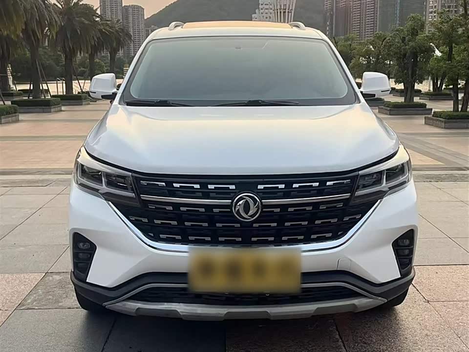 Forthing Popular T5L